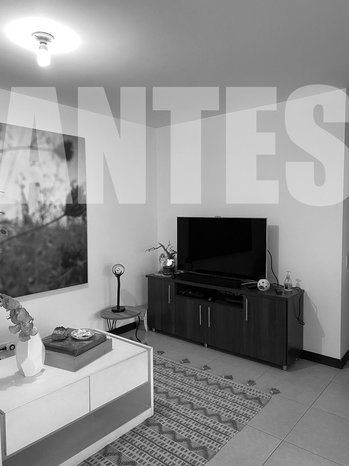 Proyecto Entrepalmas de San Diego