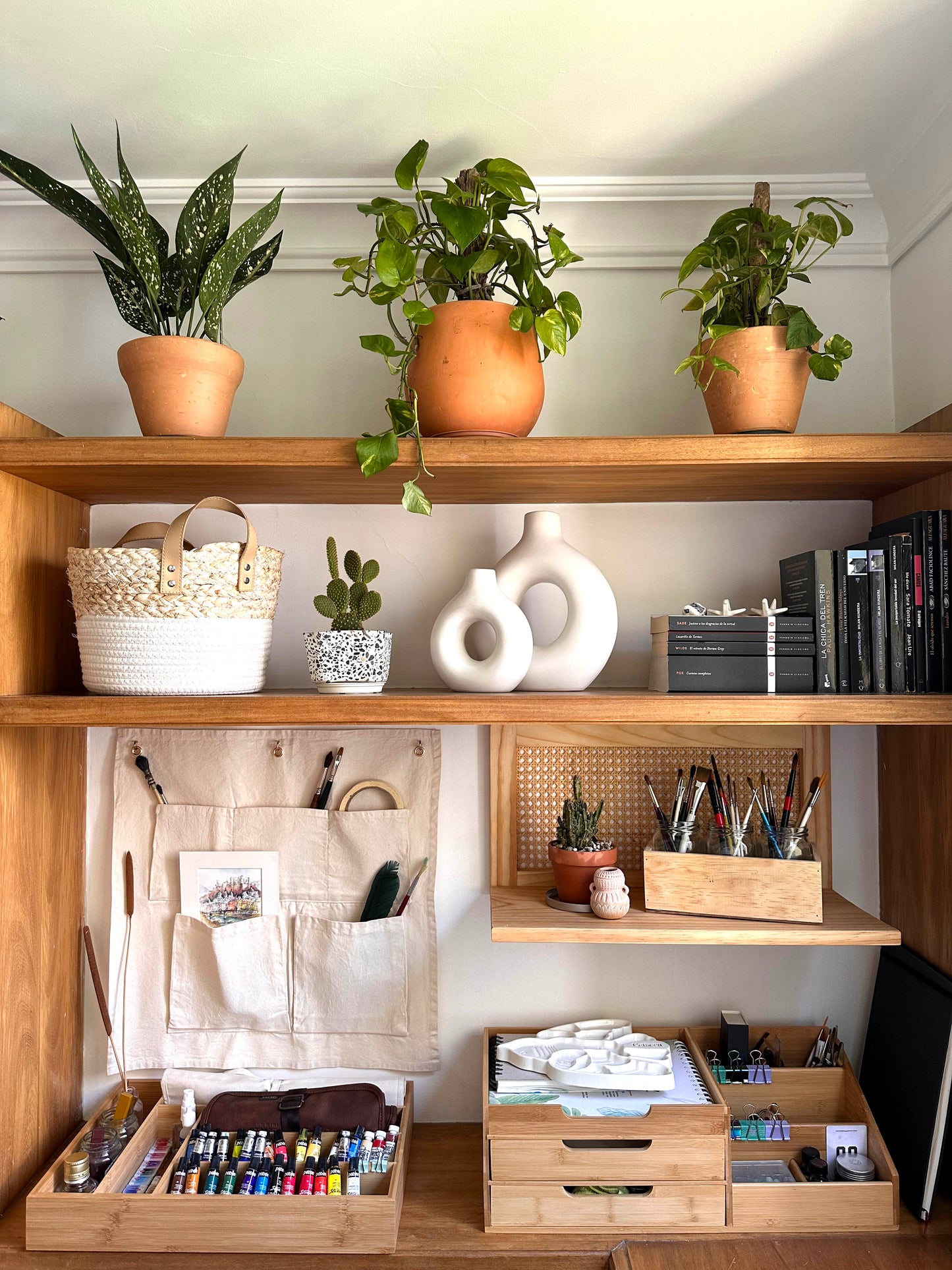 Proyecto Serranía de San Diego