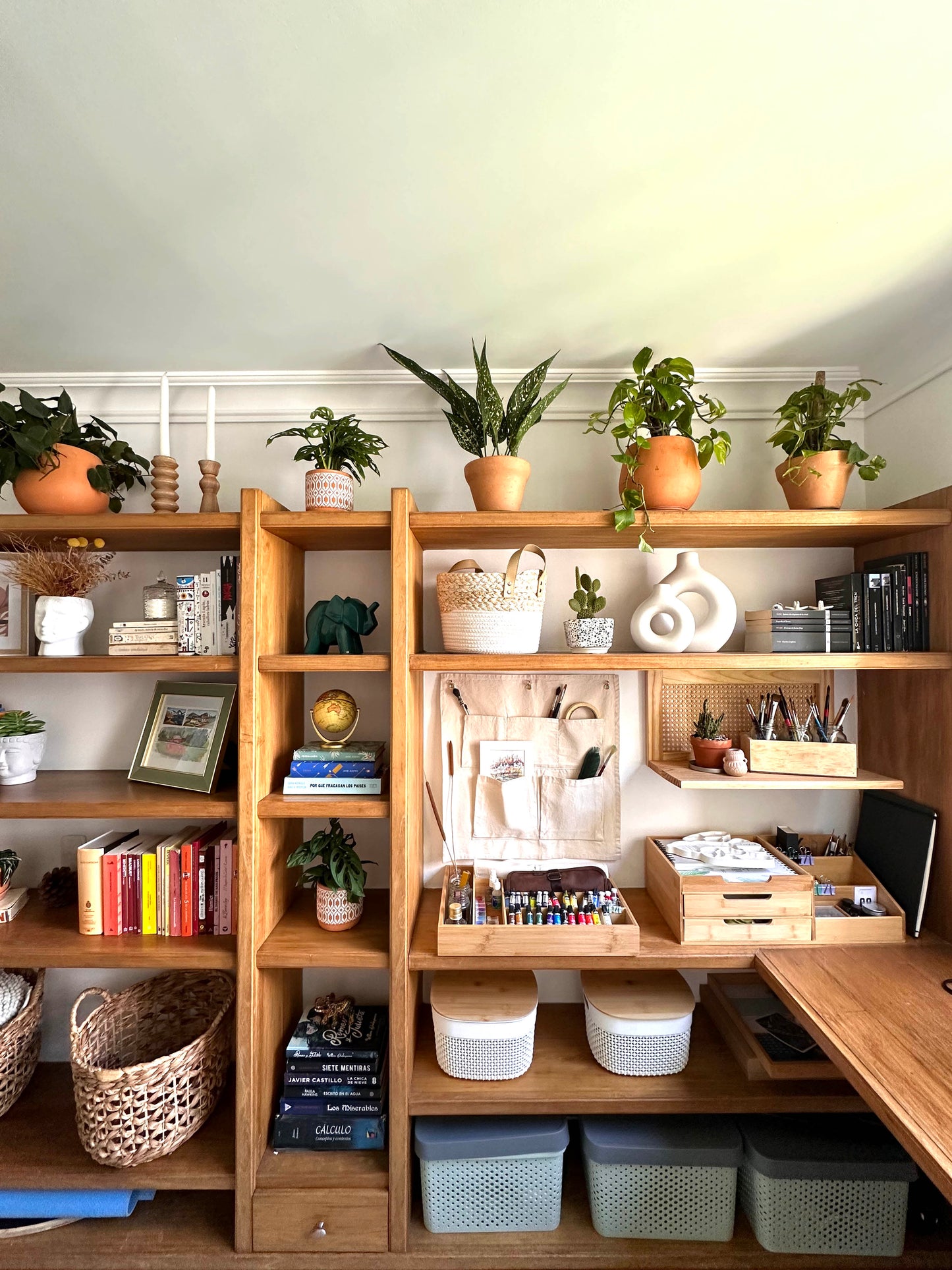 Proyecto Serranía de San Diego