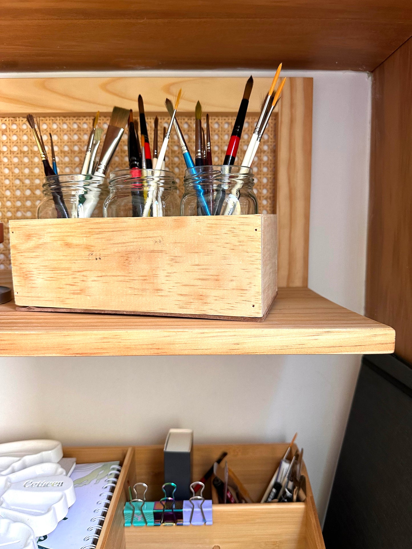 Proyecto Serranía de San Diego