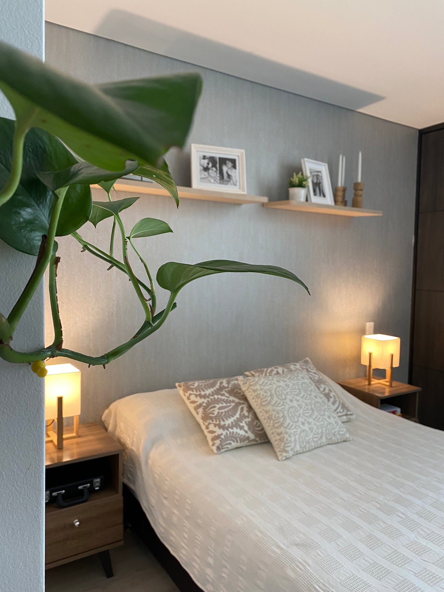 Proyecto Reserva Santa Teresa