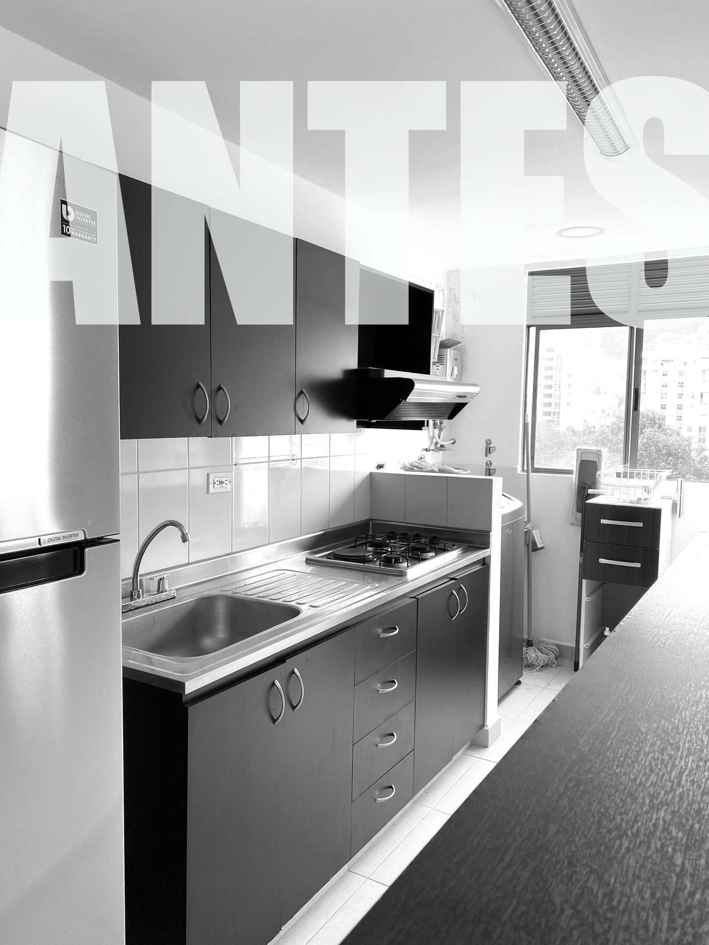 Proyecto Entrepalmas de San Diego