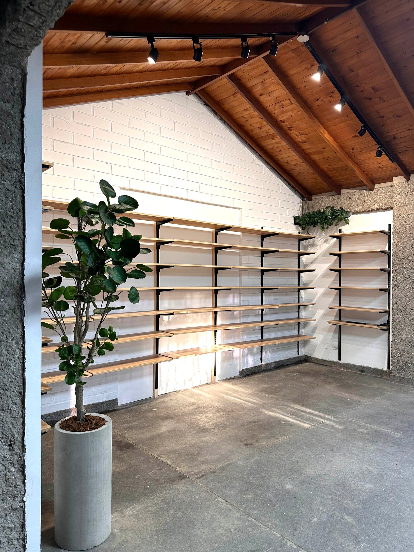 Proyecto Bodega Villa Carlota