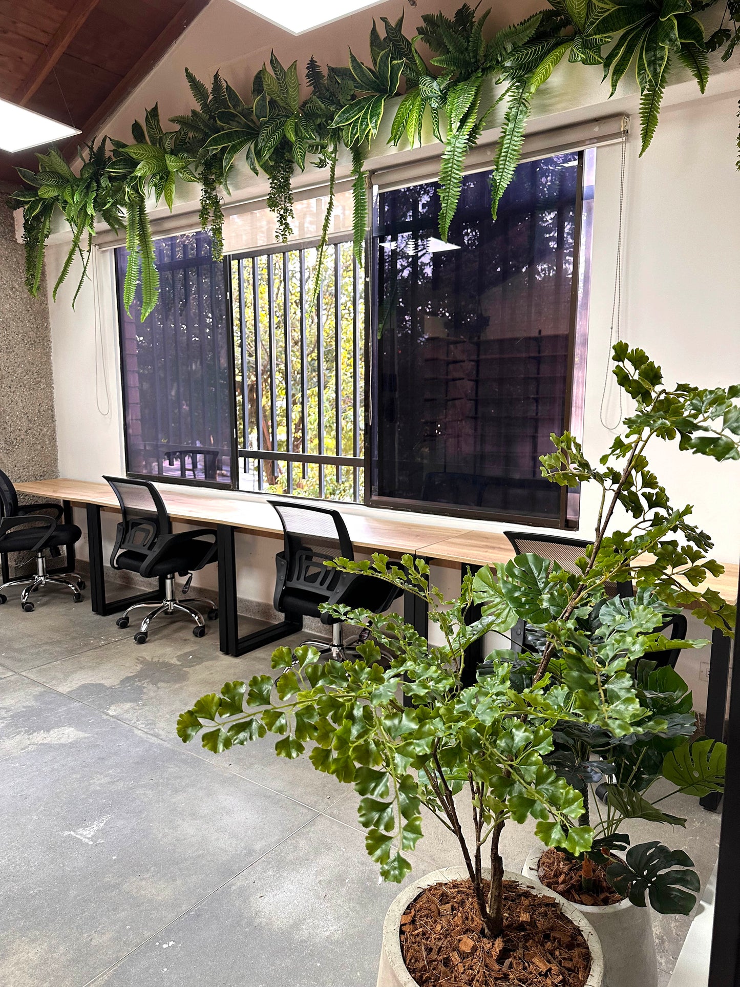 Proyecto Bodega Villa Carlota