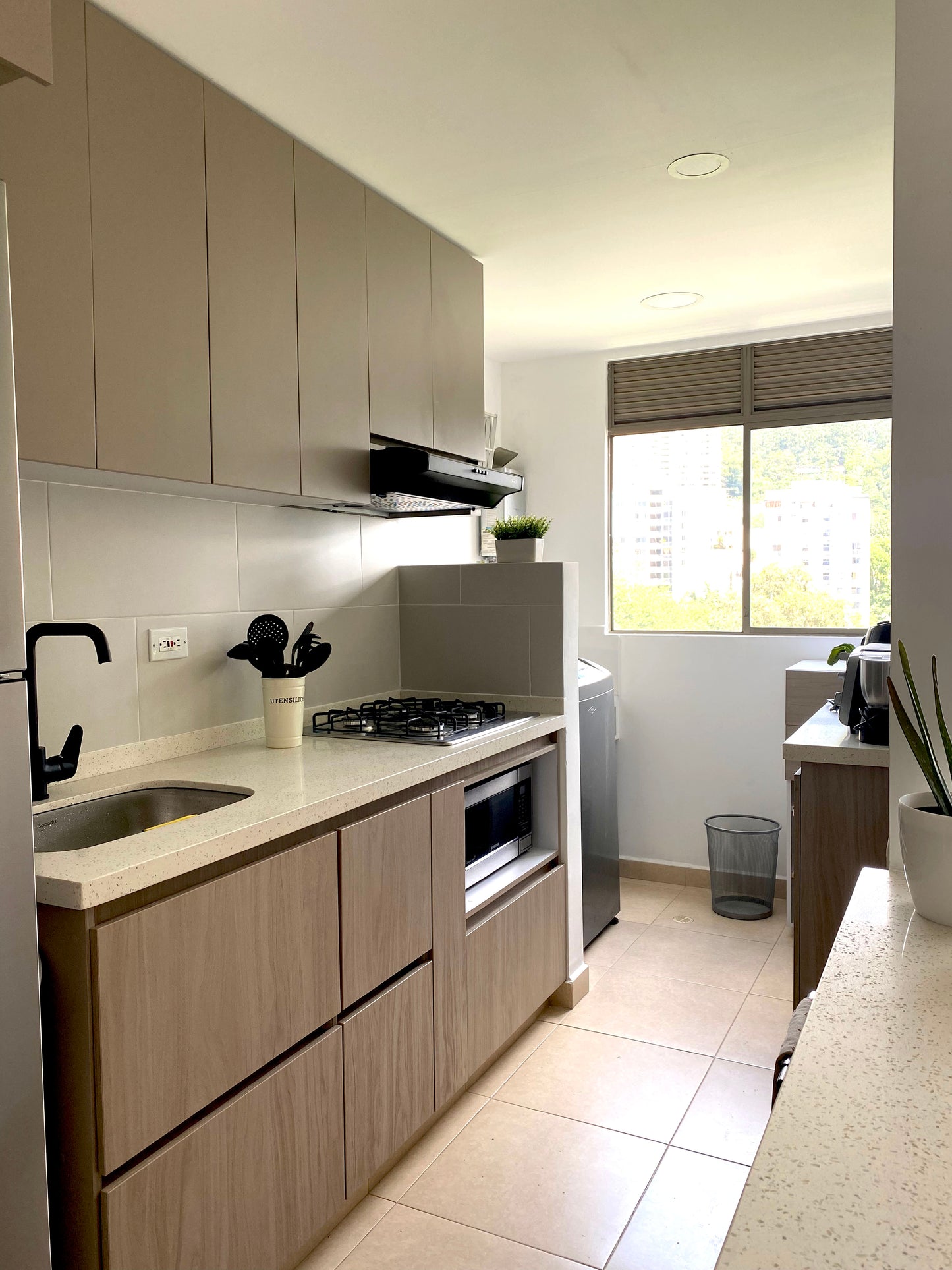 Proyecto Entrepalmas de San Diego