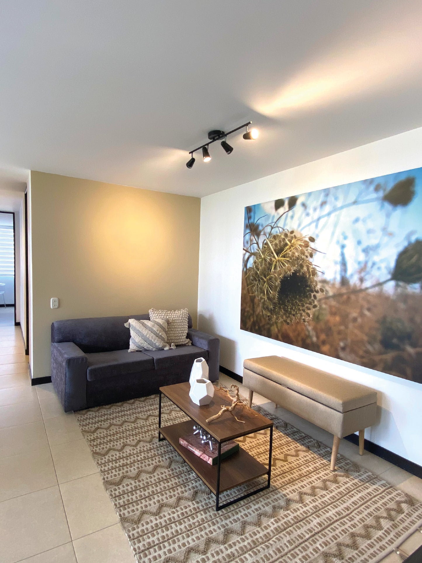 Proyecto Entrepalmas de San Diego